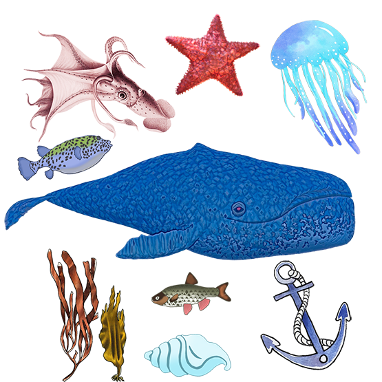 nautical clipart animals and stuff