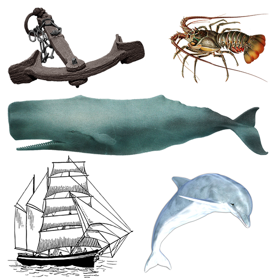 nautical clipart whale dolphin anchor and more