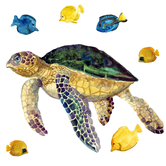 nautical clipart sea turtle fish watercolor