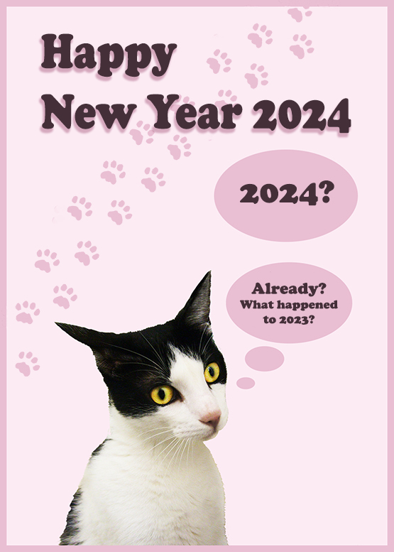 funny New Year card with cat