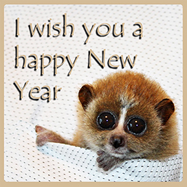 New Year greeting clipart small cute animal