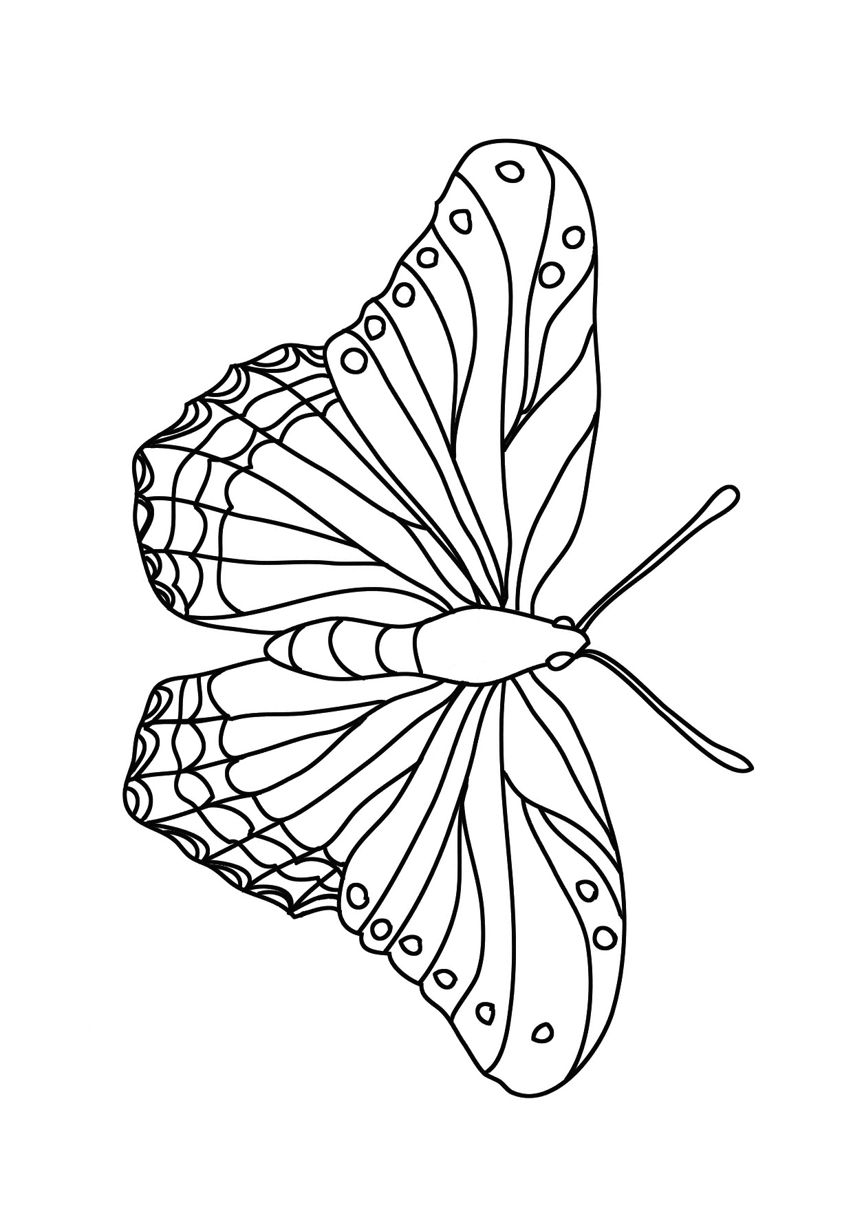 Download Butterfly Coloring Pages