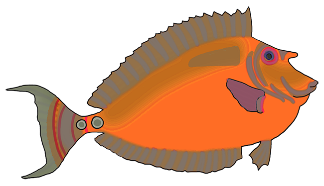 orange fantasy colored fish