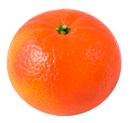 orange fruit clipart