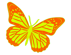 orange-yellow-butterfly