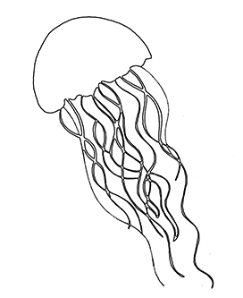 outlined jellyfish drawing
