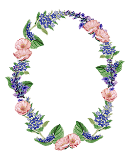 oval flower frame pink blue flowers
