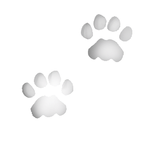 cat-clip-art-paws-in-the-snow