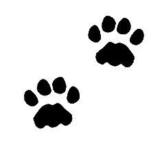 cat-clip-art-paws
