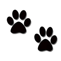 dog-paws