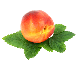 peach on leaves