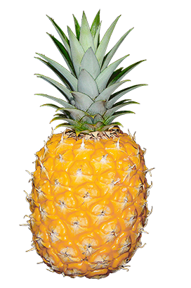 pineapple cut-out