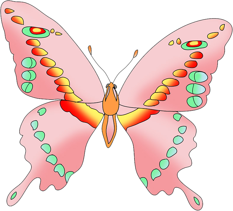 pink butterfly clipart