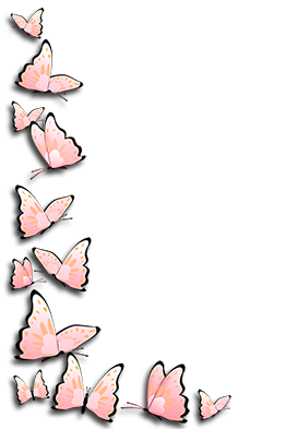 pink butterfly frame