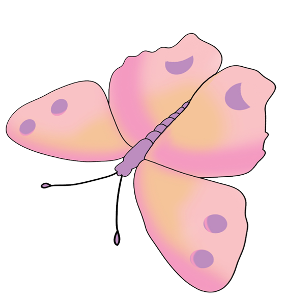 butterfly drawing pink