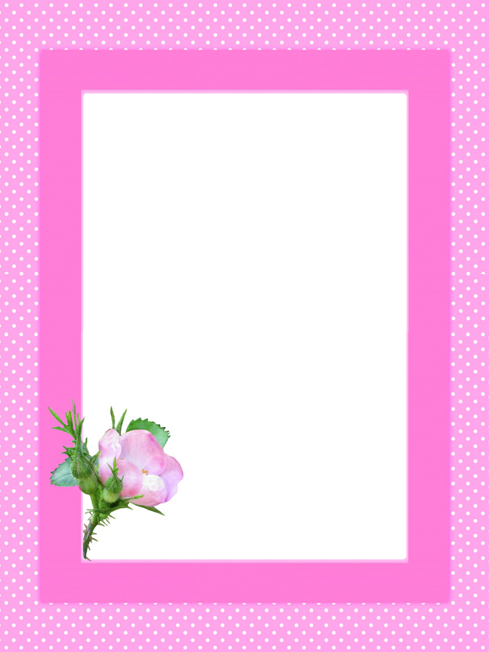 pink flower frame