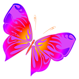pink lilla orange butterfly drawing