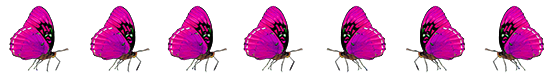 pink purple butterflyl border
