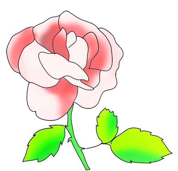 floral clip art pink rose