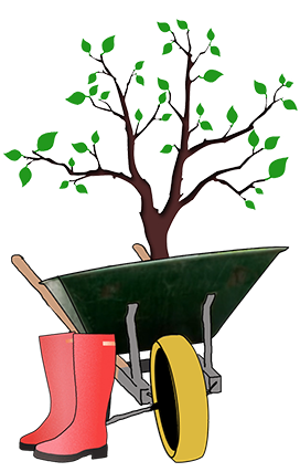 planting a tree clipart