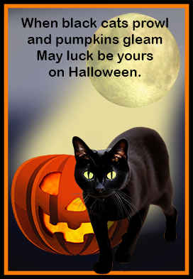Halloween card with poem and cat, moon pumpkin