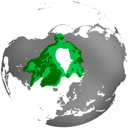 polar bear range map