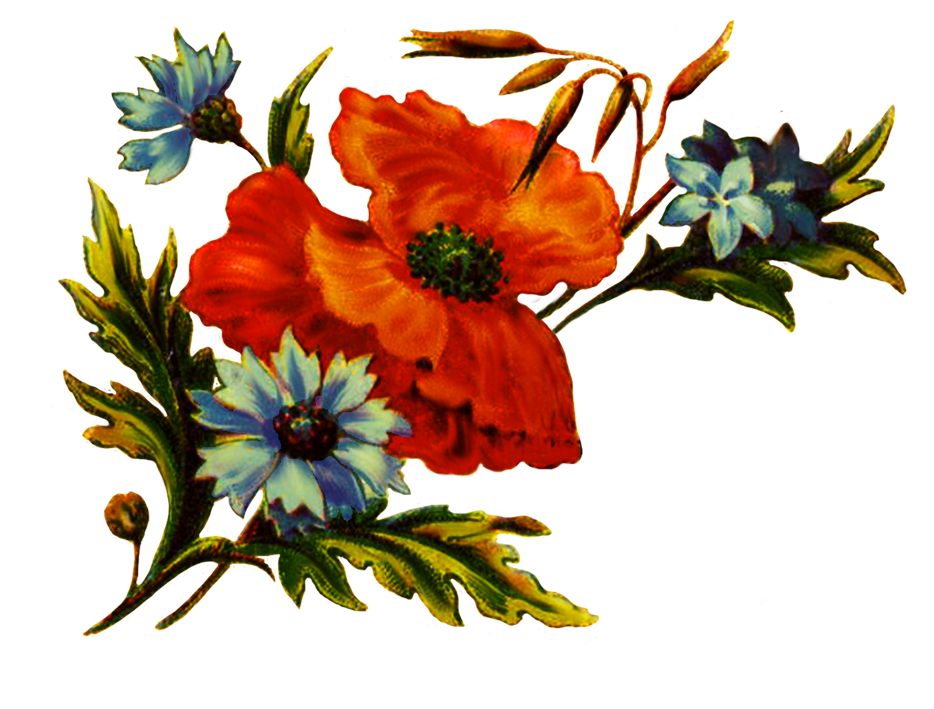 floral clipart for decoration