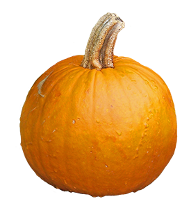 pumpkin clipart cut-out