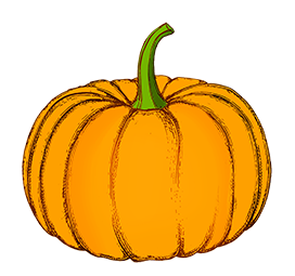 pumpkin drawing