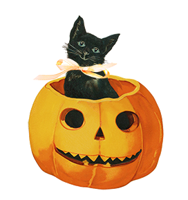pumpkin with cat with bow