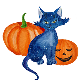 pumpkins-and cat