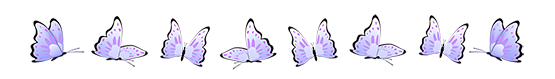 butterfly border purple