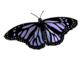 purple butterfly clipart