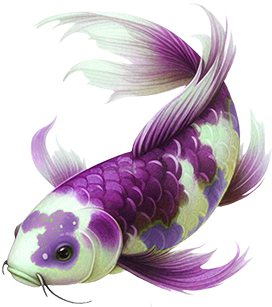 purple Koi fish drawing clipart