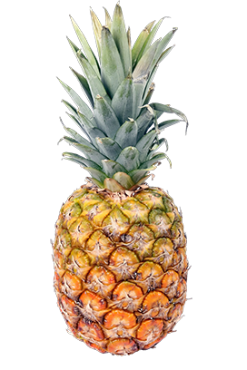 real pineapple clipart