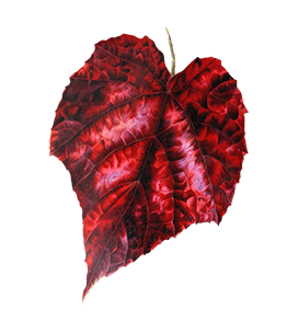 red autumn leaf clipart