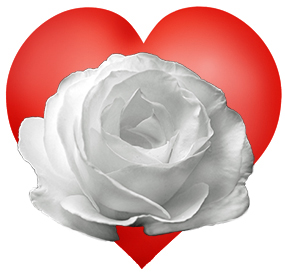 red heart with white rose