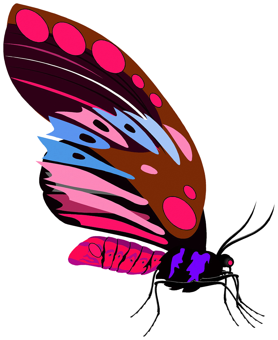 red purple butterfly drawing