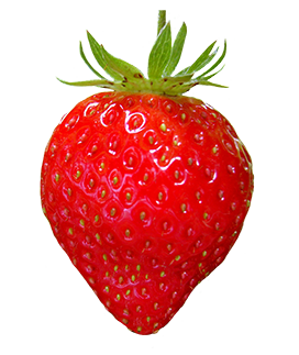 clipart ripe strawberry
