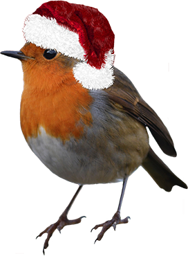 robin with Santa's hat