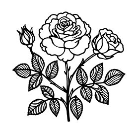 rose coloring page to print
