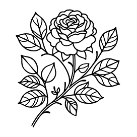 rose on stem coloring page