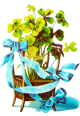 shamrocks in a basket for St. Patrick's day