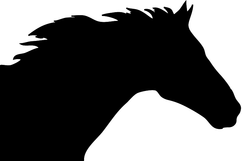 silhouette graphics head of wild western horse