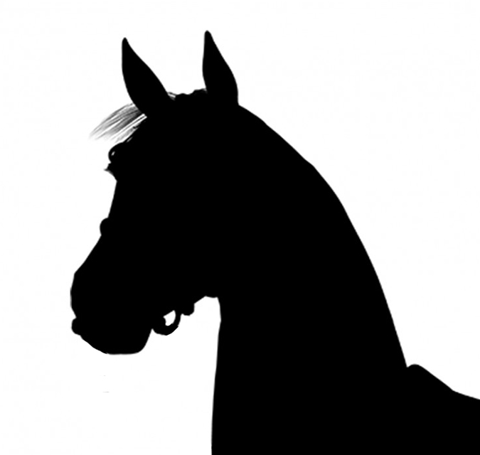 silhouette head of horse
