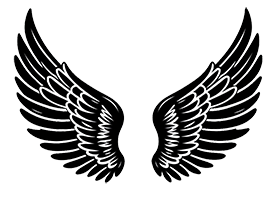 silhouette of angel wings