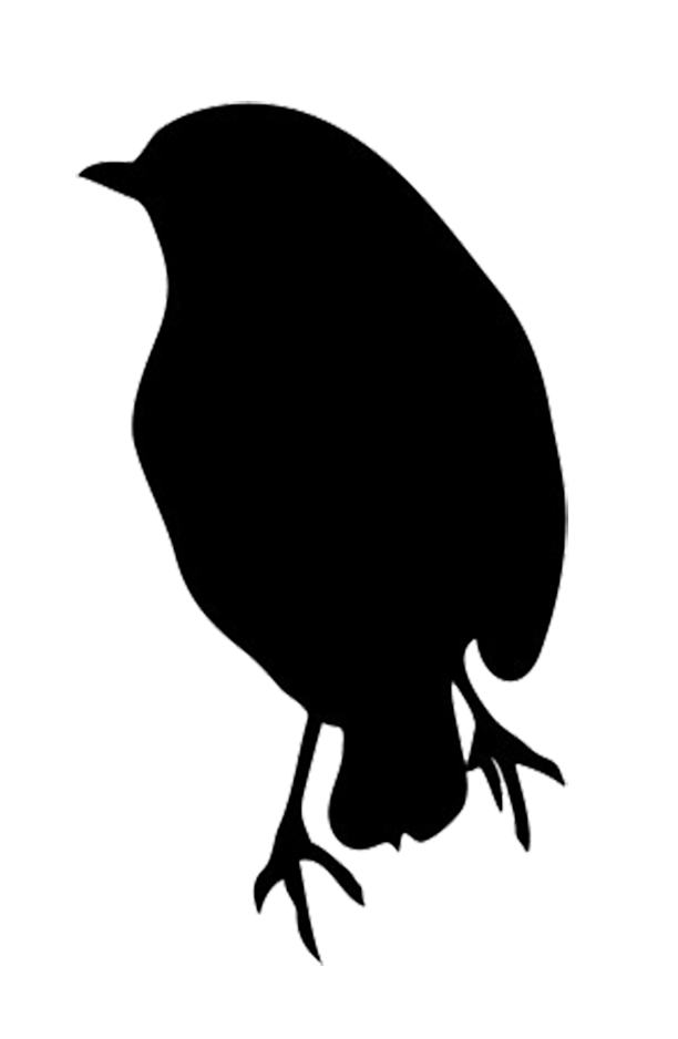 silhouette of robin