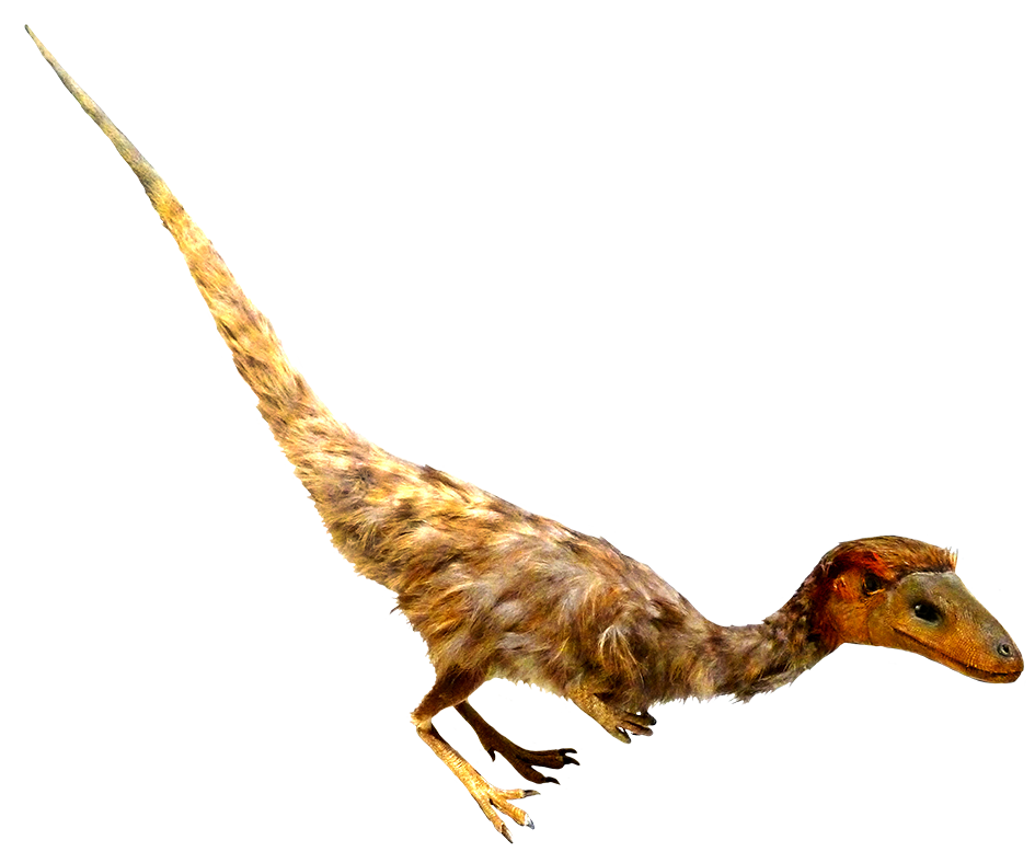 Psinosauropteryx feathered dino clipart