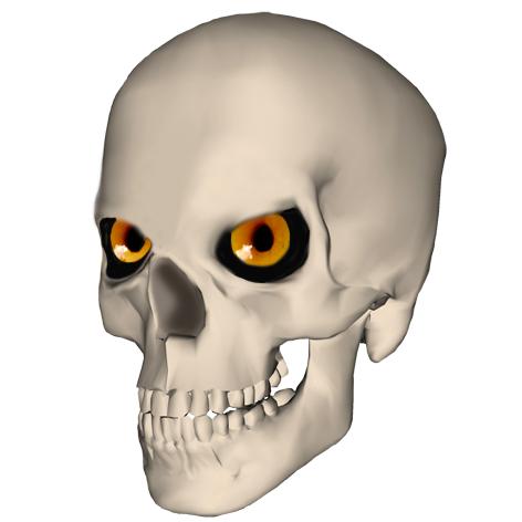 Funny skull picture with eyes