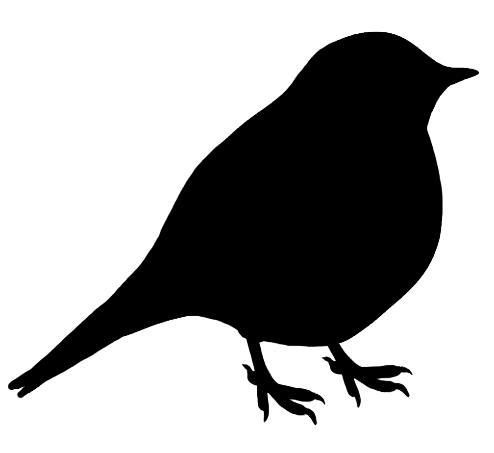 small black silhouette of bird